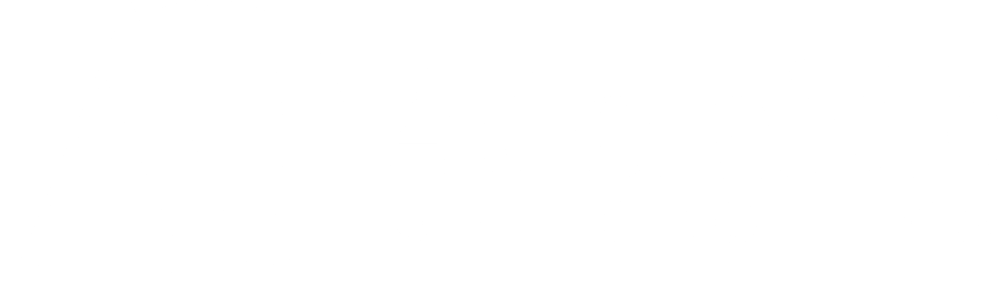 Adelaide Orthodontics logo